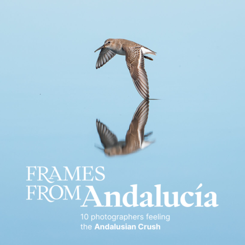Se estrena el documental de Frames from Andalucía